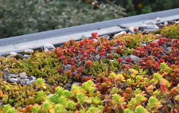 the cost of The Leys green roof installation