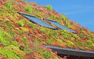 The Leys living roof systems