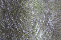 The Leys fibreglass roof work